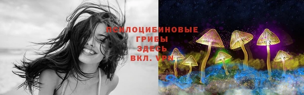 гидра Алексеевка