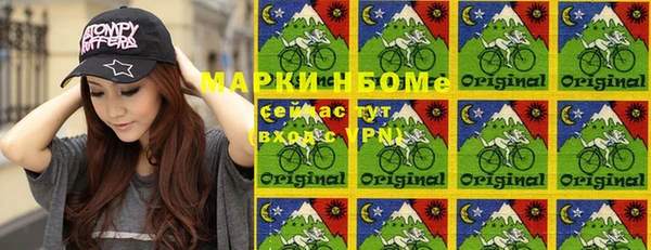PSILOCYBIN Алзамай