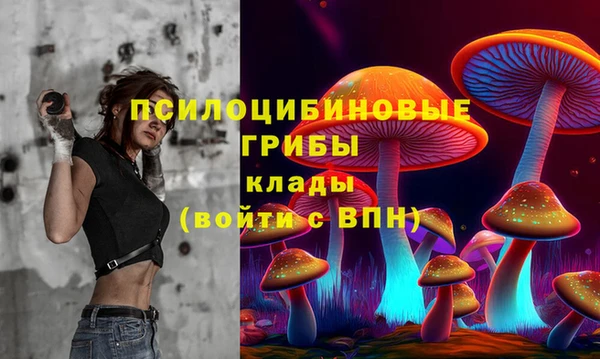 PSILOCYBIN Алзамай