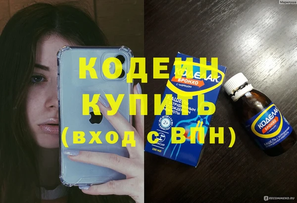 PSILOCYBIN Алзамай