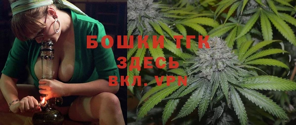 PSILOCYBIN Алзамай