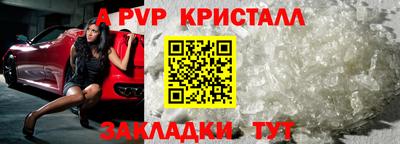 стаф Донской