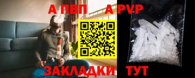 стаф Донской