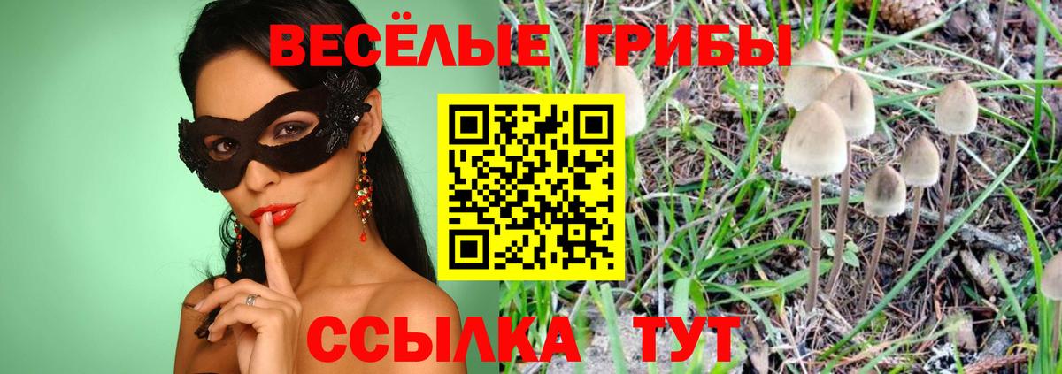Галлюциногенные грибы MAGIC MUSHROOMS  Вход с VPN  Самара 